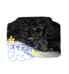 Saranのきもち♡（個別スタンプ：6）