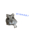 ハムハムすたんぷ（個別スタンプ：3）
