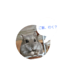 ハムハムすたんぷ（個別スタンプ：5）