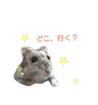 ハムハムすたんぷ（個別スタンプ：6）