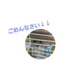ハムハムすたんぷ（個別スタンプ：7）