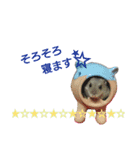 ハムハムすたんぷ（個別スタンプ：11）