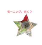 ハムハムすたんぷ（個別スタンプ：13）