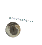 ハムハムすたんぷ（個別スタンプ：15）