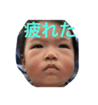 ふじまる坊ちゃん（個別スタンプ：6）