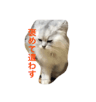 もふもふ！（個別スタンプ：12）