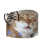 Jさんとロクちゃんの日常（個別スタンプ：12）