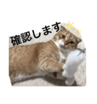 Jさんとロクちゃんの日常（個別スタンプ：23）