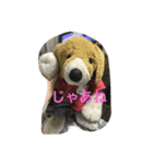 Bekko no2ver（個別スタンプ：1）
