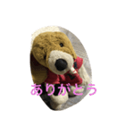 Bekko no2ver（個別スタンプ：3）