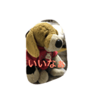 Bekko no2ver（個別スタンプ：4）