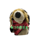 Bekko no2ver（個別スタンプ：5）
