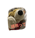 Bekko no2ver（個別スタンプ：8）