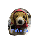 Bekko no2ver（個別スタンプ：10）