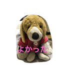 Bekko no2ver（個別スタンプ：12）