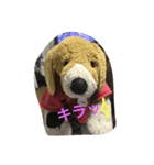 Bekko no2ver（個別スタンプ：13）