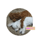 ジュピ日和（個別スタンプ：9）