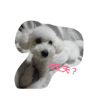 ジュピ日和（個別スタンプ：12）