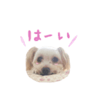 moco＆meru2（個別スタンプ：10）