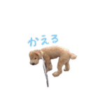 moco＆meru2（個別スタンプ：12）