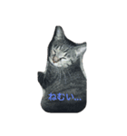 cat cat cat home（個別スタンプ：3）