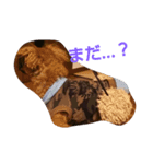 ma-buru（個別スタンプ：1）