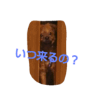 ma-buru（個別スタンプ：5）