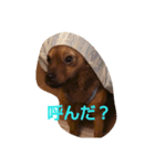 ma-buru（個別スタンプ：14）