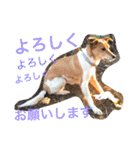 あいのたまえみ（個別スタンプ：1）