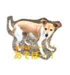 あいのたまえみ（個別スタンプ：2）