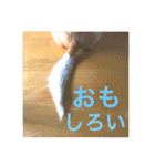 あいのたまえみ（個別スタンプ：10）