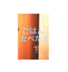 あいのたまえみ（個別スタンプ：16）