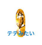 あいのたまえみ（個別スタンプ：21）