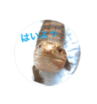 あいのたまえみ（個別スタンプ：25）