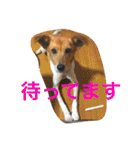 あいのたまえみ（個別スタンプ：32）
