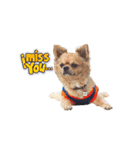 遊び心のある犬（個別スタンプ：1）