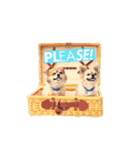 遊び心のある犬（個別スタンプ：3）