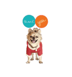遊び心のある犬（個別スタンプ：8）