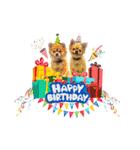 遊び心のある犬（個別スタンプ：11）
