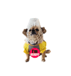 遊び心のある犬（個別スタンプ：15）