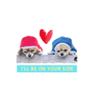 遊び心のある犬（個別スタンプ：16）