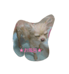くーまる（個別スタンプ：6）