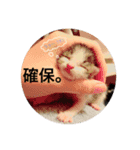 みーちゃん チャチャチャ（個別スタンプ：2）