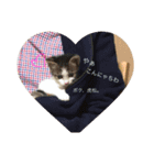 みーちゃん チャチャチャ（個別スタンプ：3）