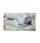 みーちゃん チャチャチャ（個別スタンプ：4）
