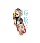 chocochanstamp（個別スタンプ：5）