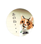 ういことえまこ（個別スタンプ：3）