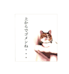 ういことえまこ（個別スタンプ：5）