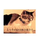 ういことえまこ（個別スタンプ：10）