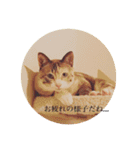 ういことえまこ（個別スタンプ：13）
